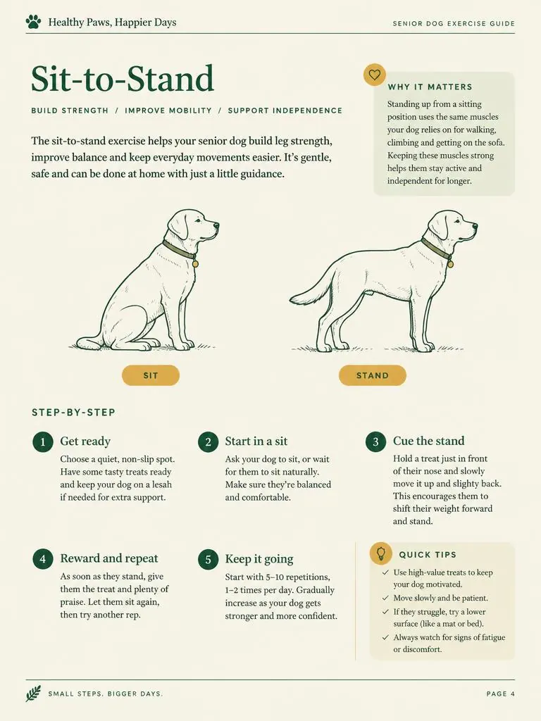 Sample page: Sit-to-Stand exercise with step-by-step illustrations